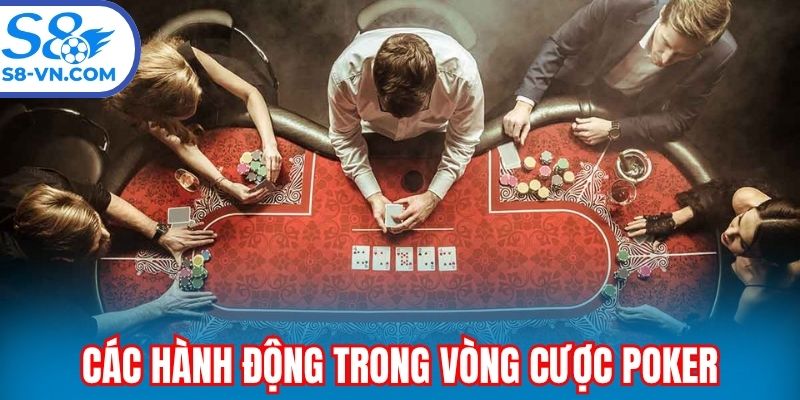 Các quyền chọn trong mỗi vòng cược