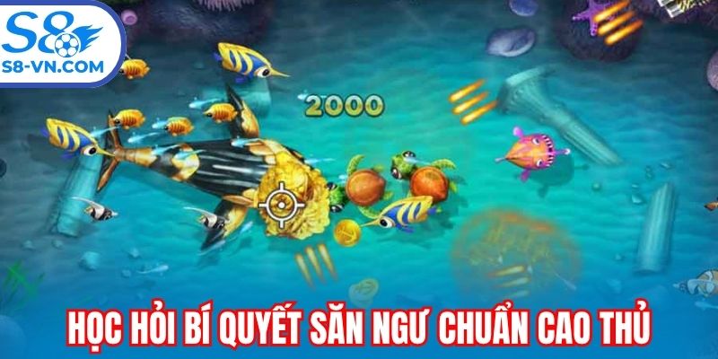 Học hỏi bí quyết săn ngư chuẩn cao thủ
