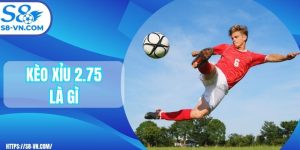 Kèo xỉu 2.75 là gì