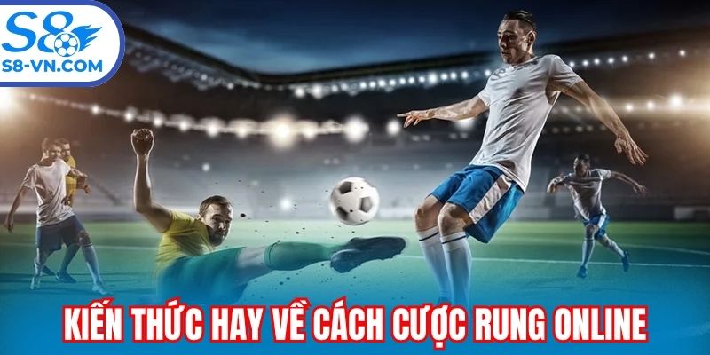 Kiến thức hay về cách cược rung online