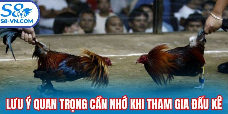 Lưu ý quan trọng cần nhớ khi tham gia đấu kê tại S8