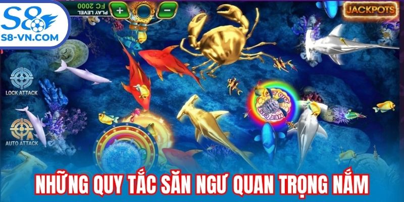 Những quy tắc săn ngư quan trọng nắm